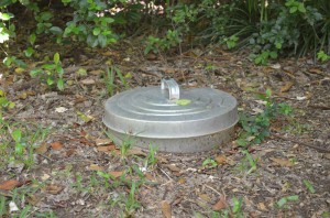 Compost bin that is barely noticeable.