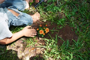 Planting flowers