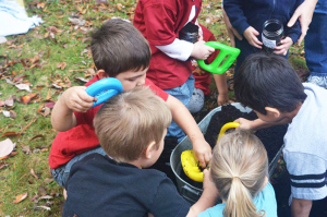 Digging for worms