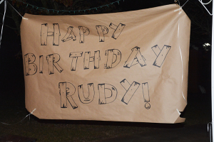 Birthday party banner