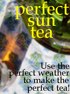 How To Make Sun Tea