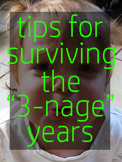 advice for surviving the toddler years