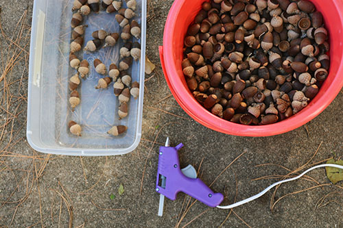 gluing acorns