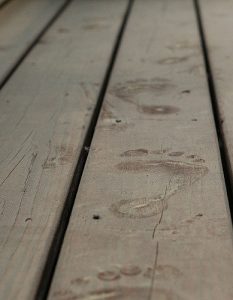 pollen footprints