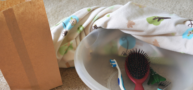 Homeschooling Activities for Preschoolers: What's in the Bag?