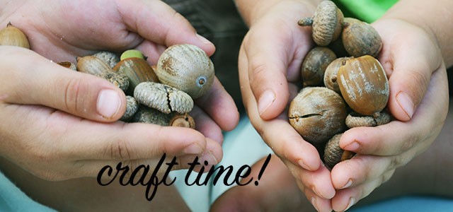 acorns-header