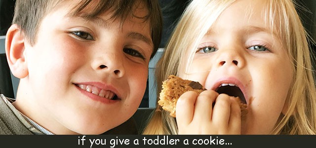 Toddler eating a cookie